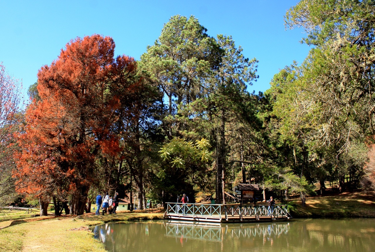 O romantismo do Horto Florestal.