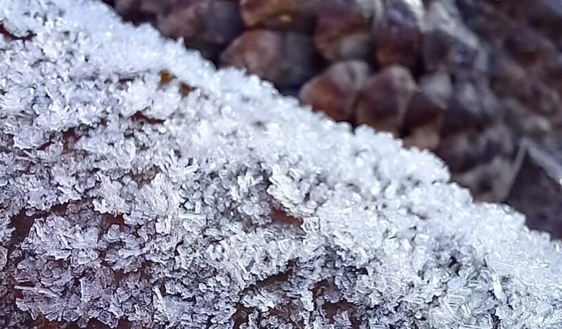 inverno 2022