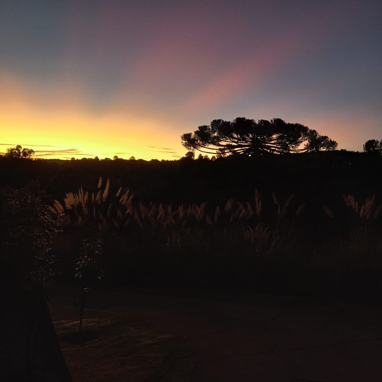 Campos do Jordão