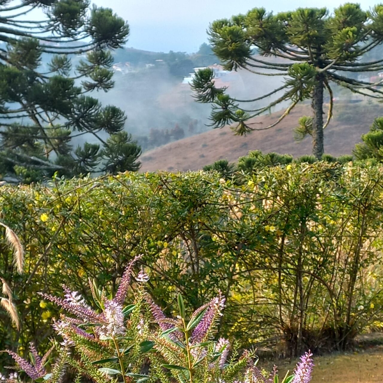 Campos do Jordão