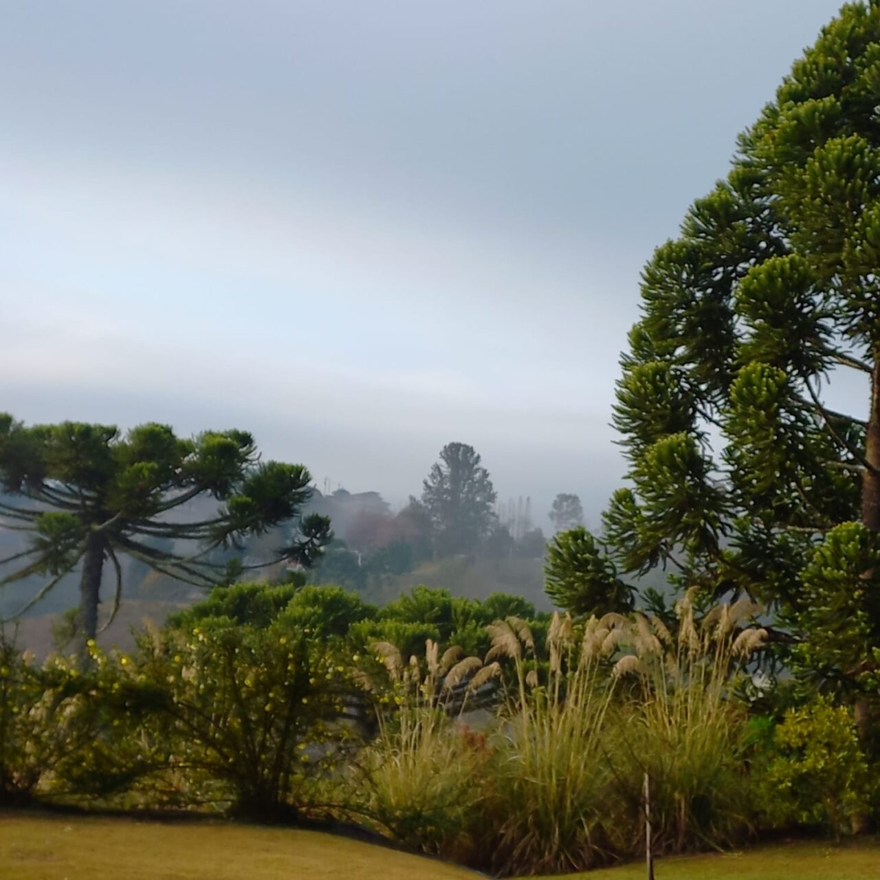 Campos do Jordão