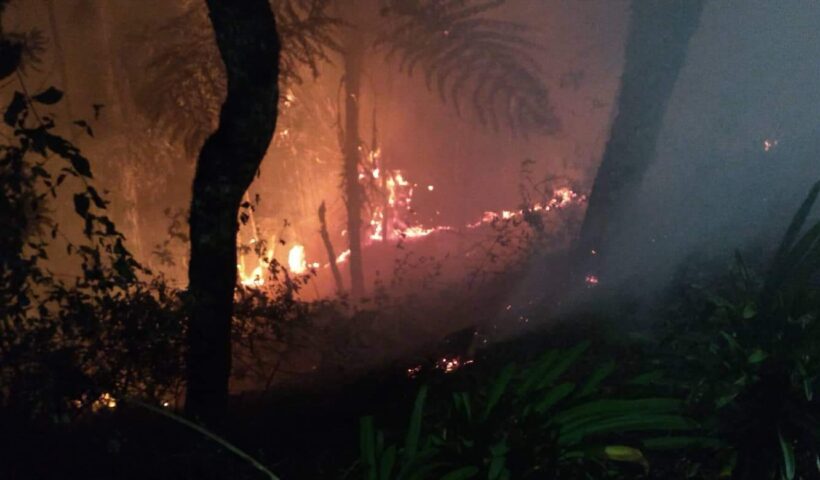 Incêndio em mata no Alto do Capivari em Campos do Jordão