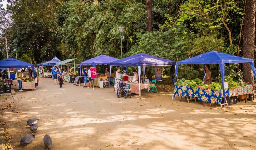 feira de orgânicos sjc vicentina aranha