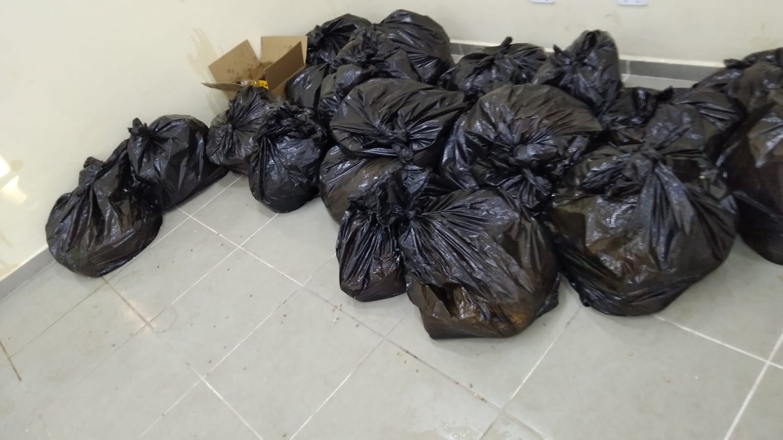 cesta básica santa branca