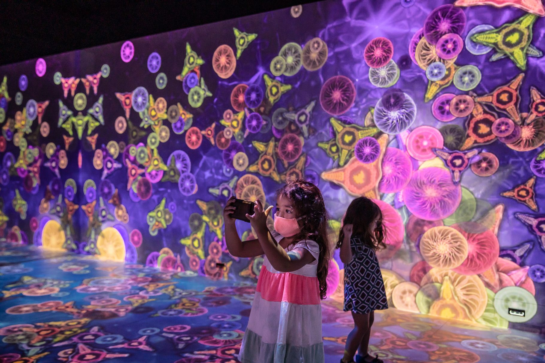 exposição colinas