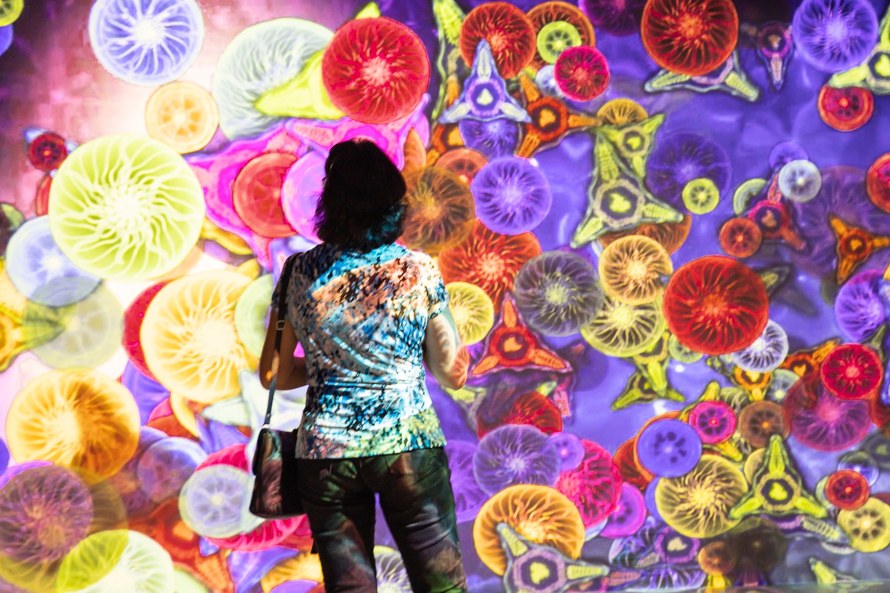 exposição colinas