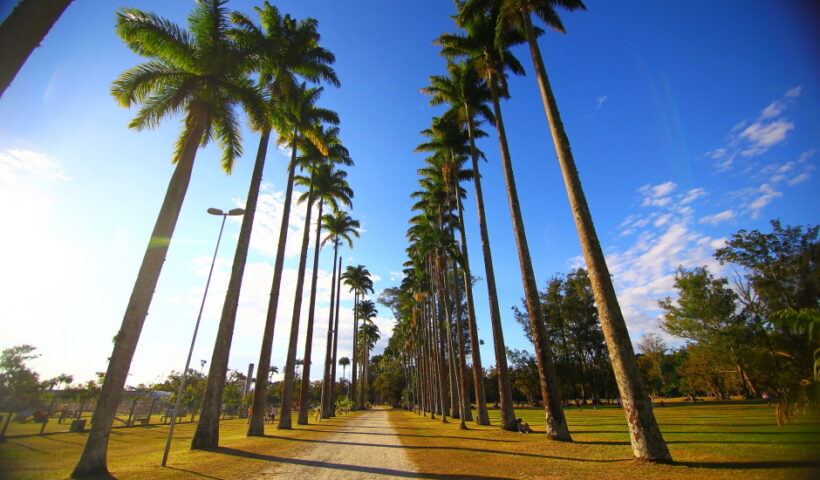 aniversário de são josé dos campos