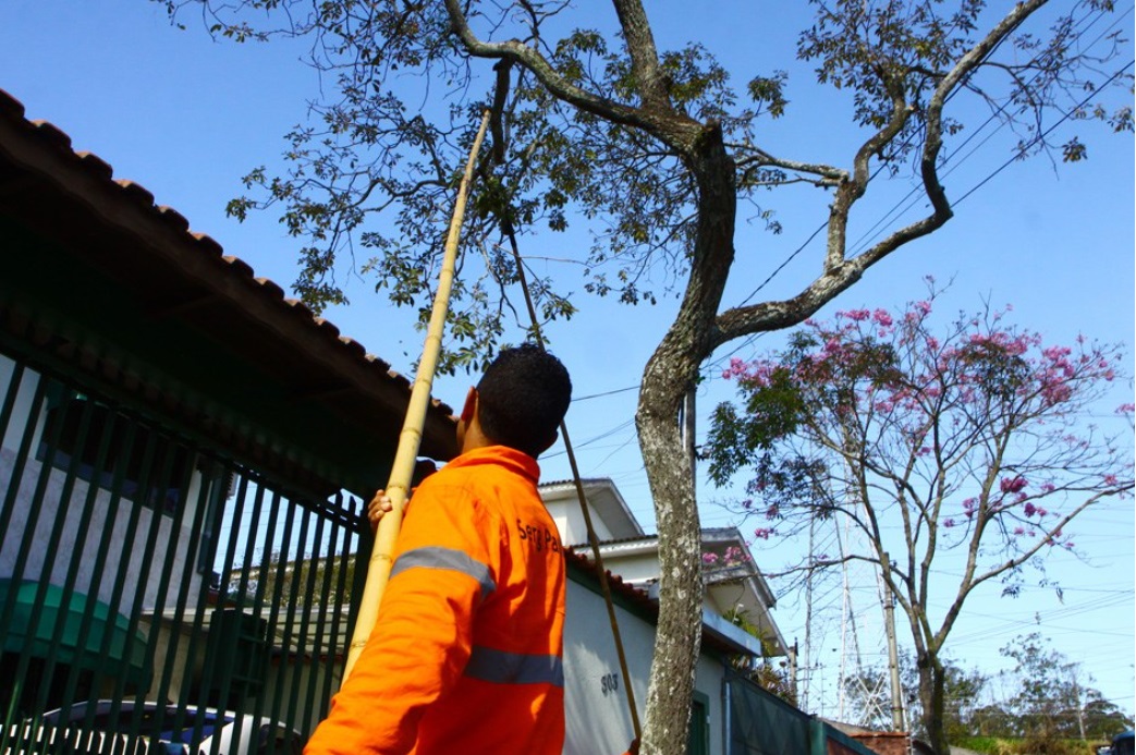 Funcionário faz pode de árvore, para lembrar que a Rua Euclides Miragaia, no centro de SJC, ficará interditada nesta quinta-feira para a execução desse serviço