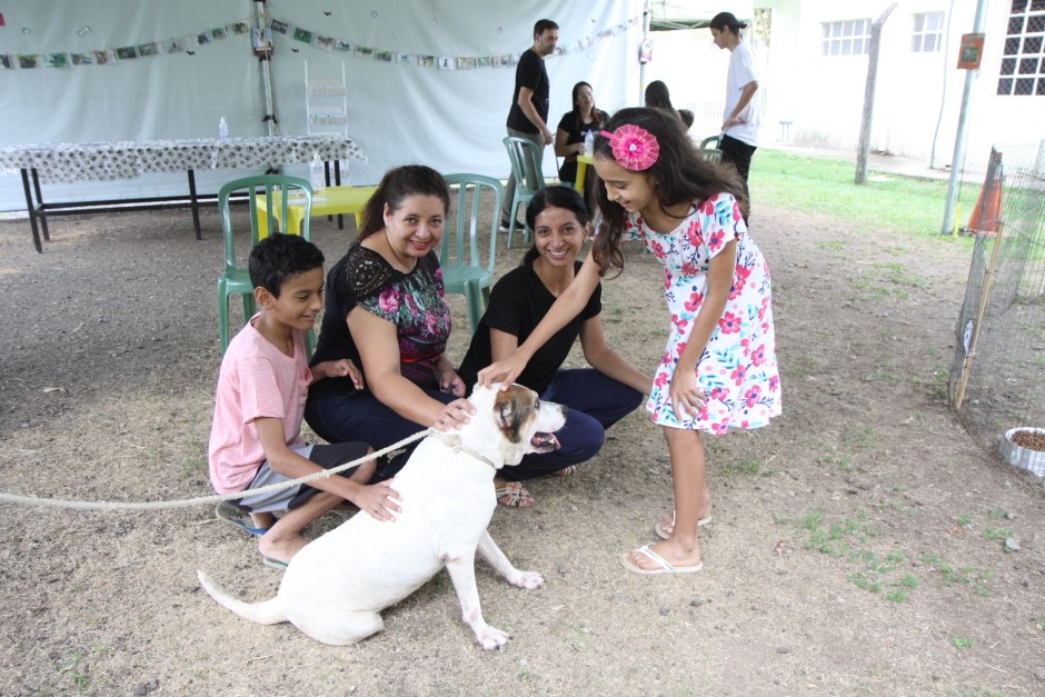 Sábado tem vacinação antirrábica e feira de adoção de cães e gatos