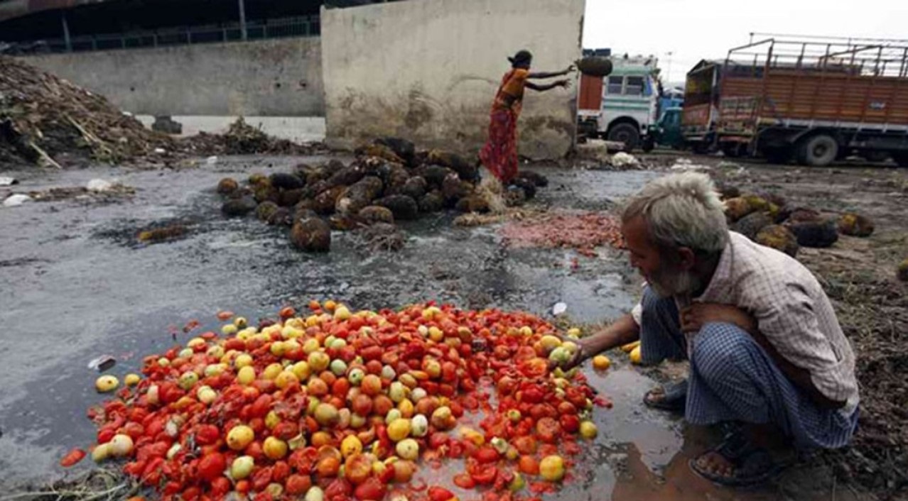 Homem colhendo restos de legumes caídos no chão. Imagem ilustra a coluna do CBN Economia que fala sobre o tamanho da fome versus a produção do agronegócio no Brasil