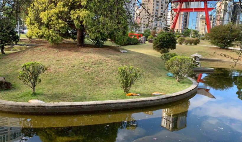 peixes da praça tori