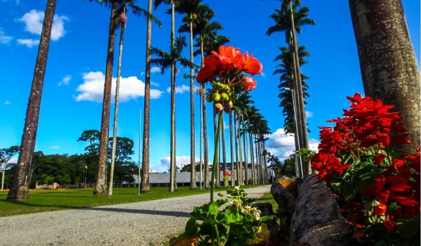 Parque da Cidade de SJC. Veja o que abre e fecha no feriado de 12 de outubro