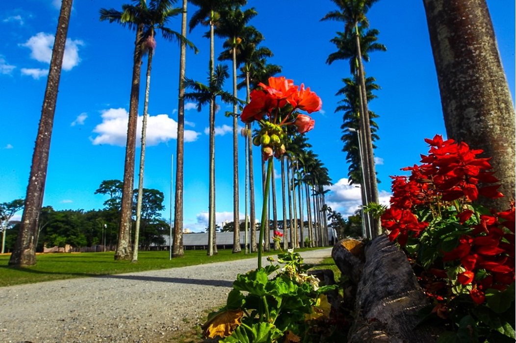 Parque da Cidade de SJC. Veja o que abre e fecha no feriado de 12 de outubro