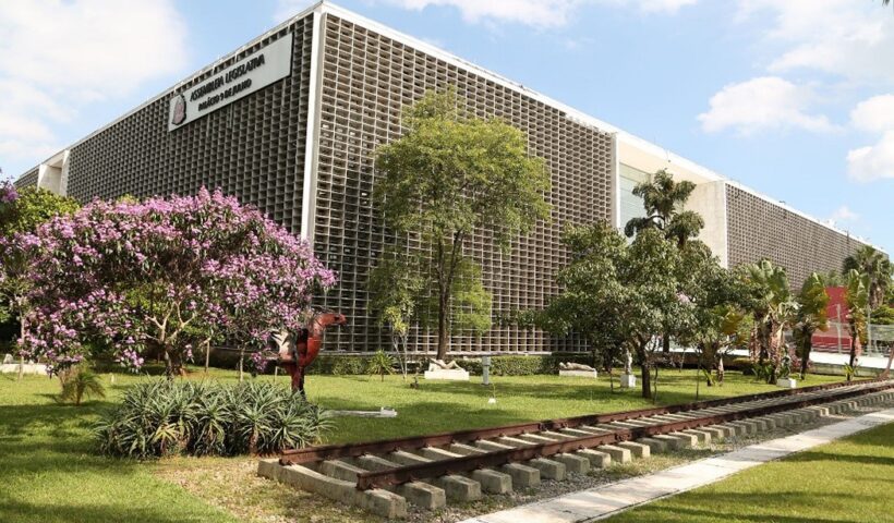 Remédios à base de cannabis poderão ser fornecidos de graça no estado de SP