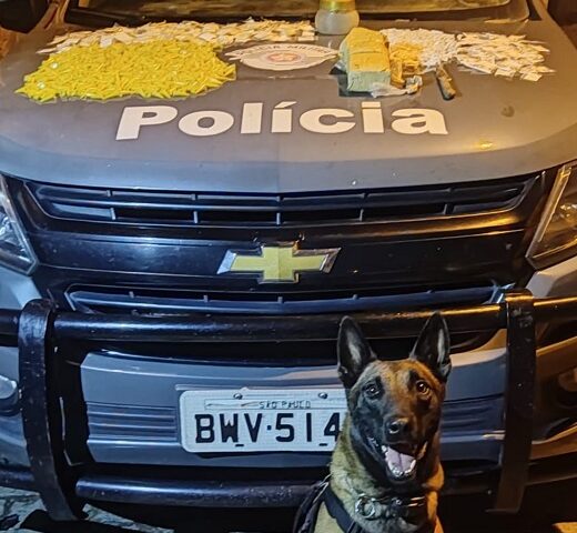 BAEP APREENDE DROGAS EM CACHOEIRA PAULISTA
