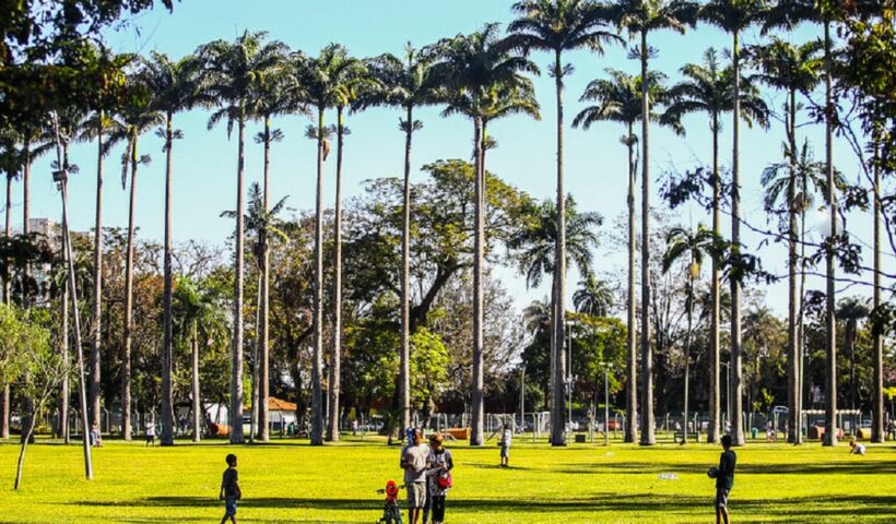 Parque da Cidade terá caminhada do Novembro Azul no domingo