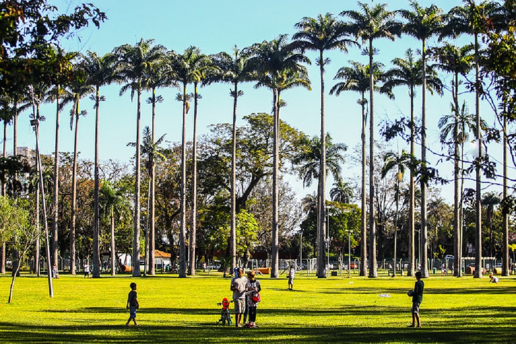 Parque da Cidade terá caminhada do Novembro Azul no domingo