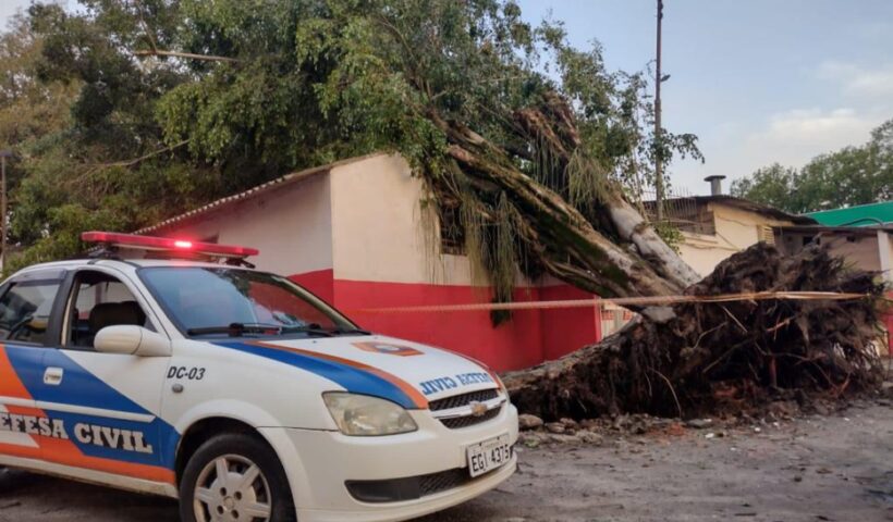 Chuvas fortes em Pinda e Cunha derrubam árvores