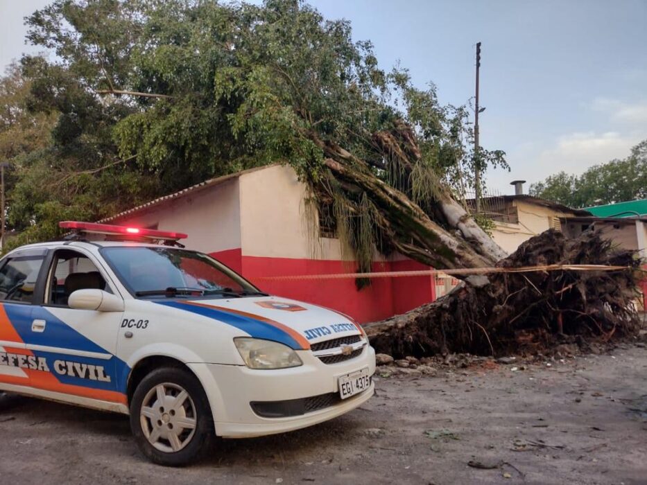 Chuvas fortes em Pinda e Cunha derrubam árvores
