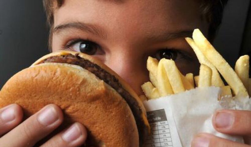 alimentos ultraprocessados 60 mil óbitos