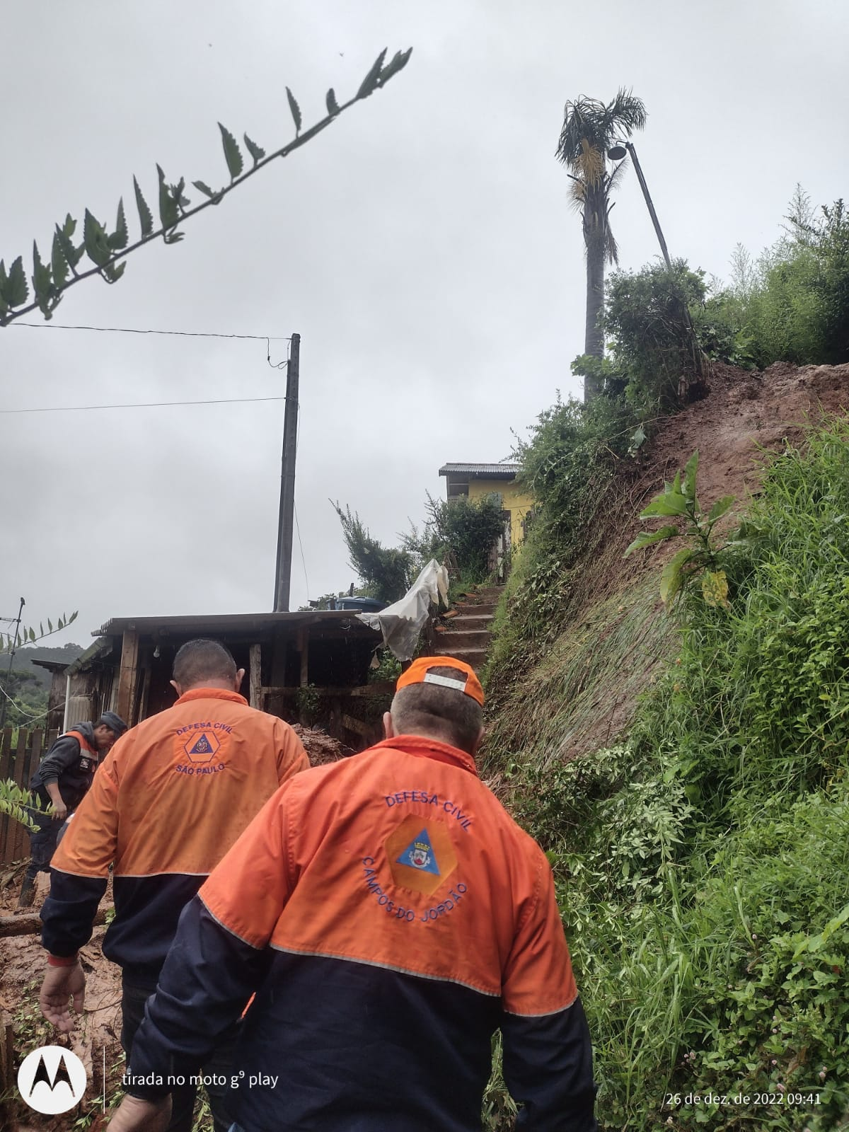 Chuva interdita casas e derruba árvores em Campos do Jordão; imagens de deslizamento de terra e árvore caída