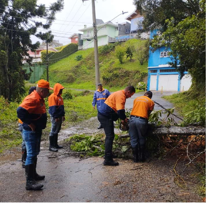 Chuva interdita casas e derruba árvores em Campos do Jordão; imagens de deslizamento de terra e árvore caída