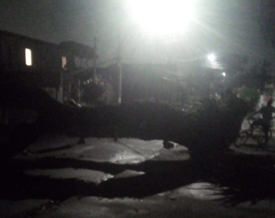 Chuva provoca queda de árvore no Jd. Satélite, em SJC; uma casa foi atingida
