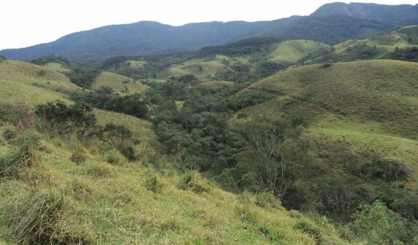 montanhas verdes com árvores ilustram zona rural de sao jose dos campos, que terá cep digital