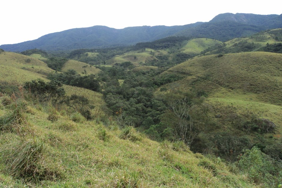 montanhas verdes com árvores ilustram zona rural de sao jose dos campos, que terá cep digital