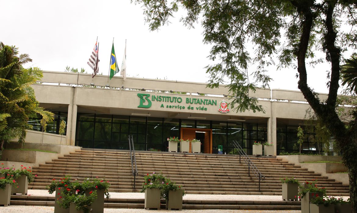 vacina-contra-a-dengue-desenvolvida-pelo-instituto-butantan-atinge-eficacia-de-796