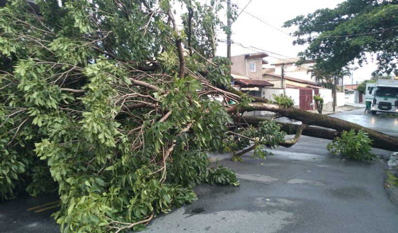 chuvas defesa civil taubaté - Defesa Civil de Taubaté atende diversas ocorrências devido a chuva desta segunda-feira (12)