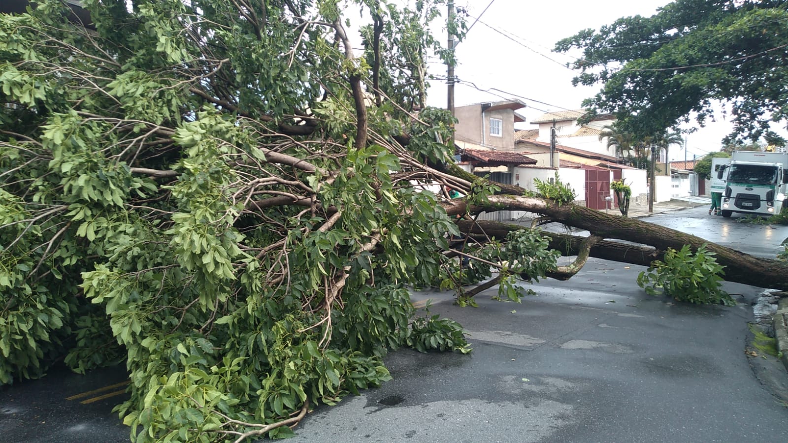 chuvas defesa civil taubaté - Defesa Civil de Taubaté atende diversas ocorrências devido a chuva desta segunda-feira (12)