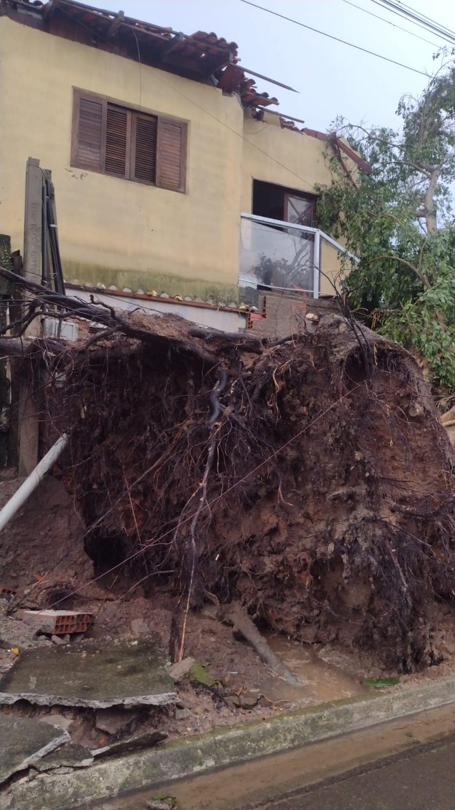 Temporal no Litoral Norte faz estragos em escolas, casas e UBS.