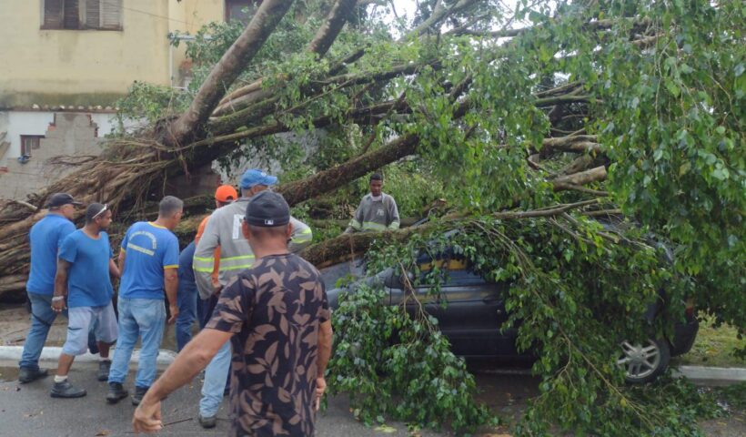Temporal no Litoral Norte faz estragos em escolas, casas e UBS. árvore caída sobre carro e parte de casa em sao sebastiao; funcionários da prefeitura estao em volta do imovel avaliando como remover a planta
