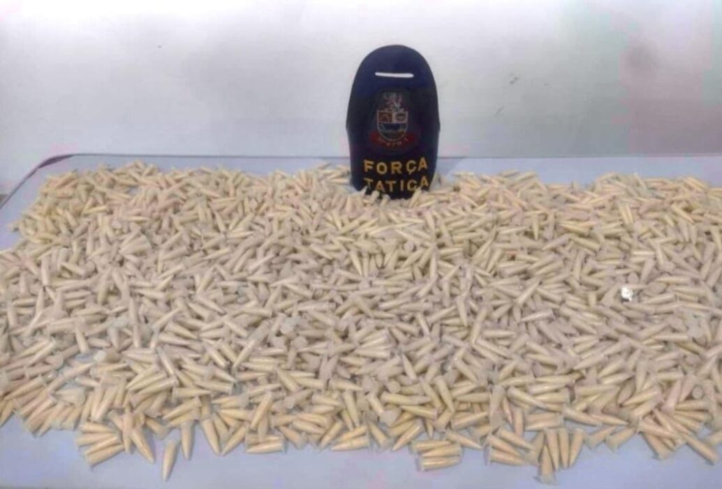 PM apreende mais de 2.400 pinos de cocaína em Lorena