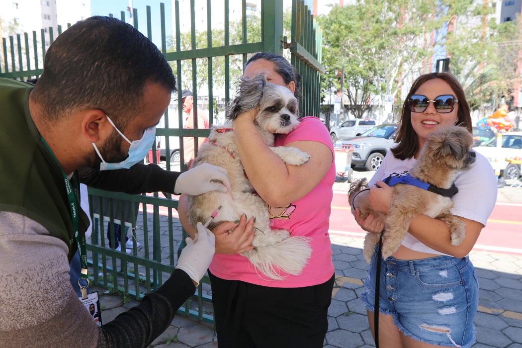 Cão é vacinado por agente da prefeitura. Jacareí realizará vacinação antirrábica para cães e gatos no sábado (28), no São Silvestre