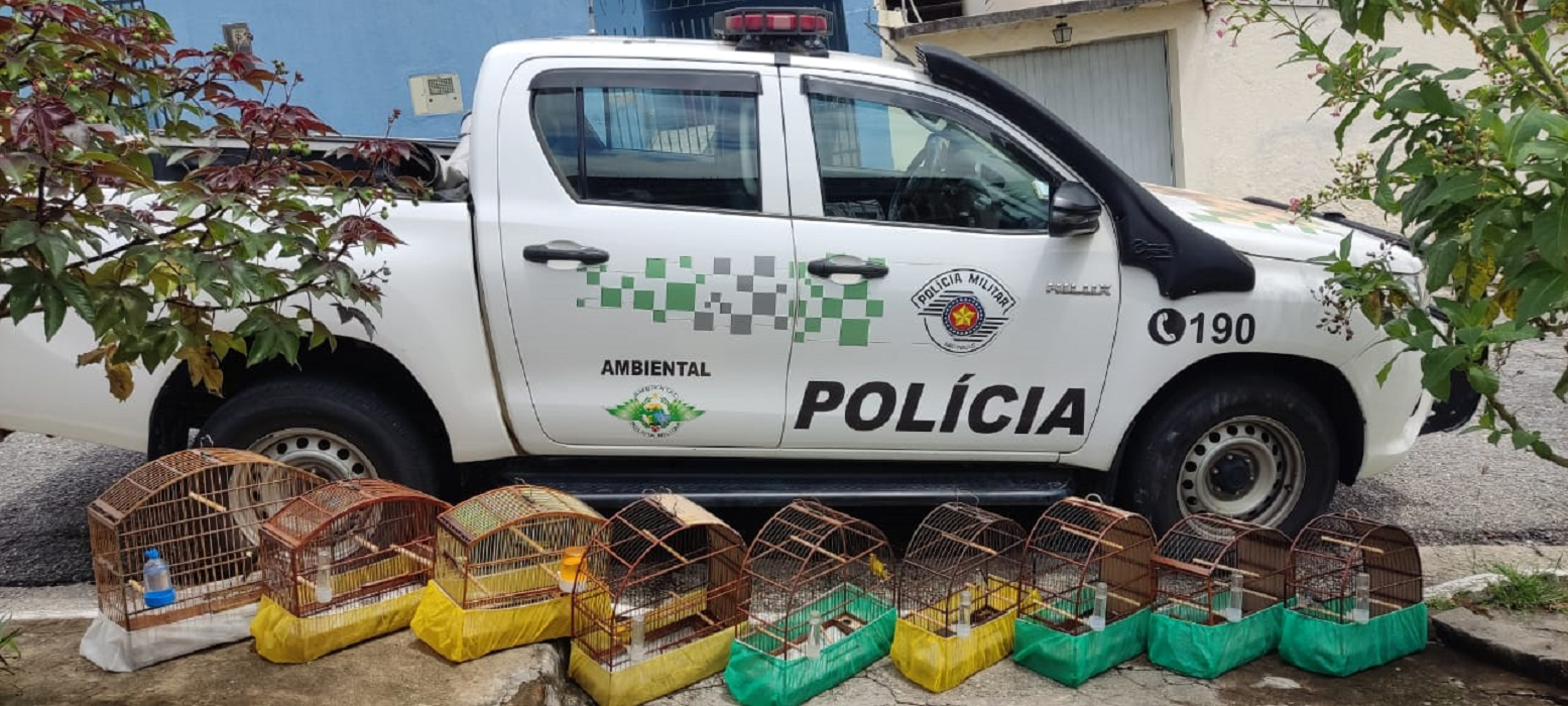 viatura da pm ambiental estacionada na rua, com 9 gaiolas de aves silvestres alinhadas em frente
