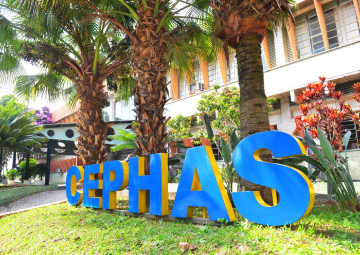 Inscrições para 2.500 vagas em cursos do Cephas vão até segunda