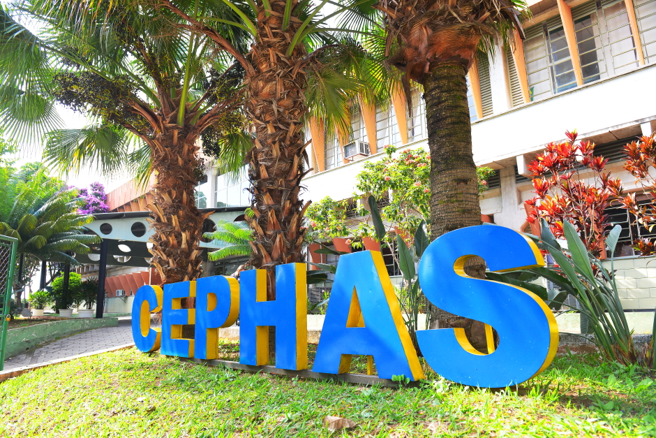 Inscrições para 2.500 vagas em cursos do Cephas vão até segunda
