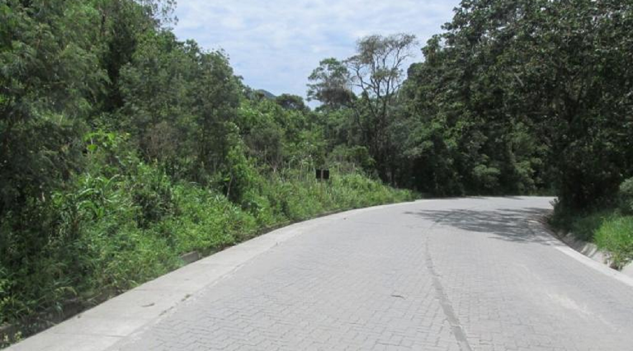 curva da estrada cunha-paraty, com árvores em volta, onde bêbado matou condutora de 29 anos