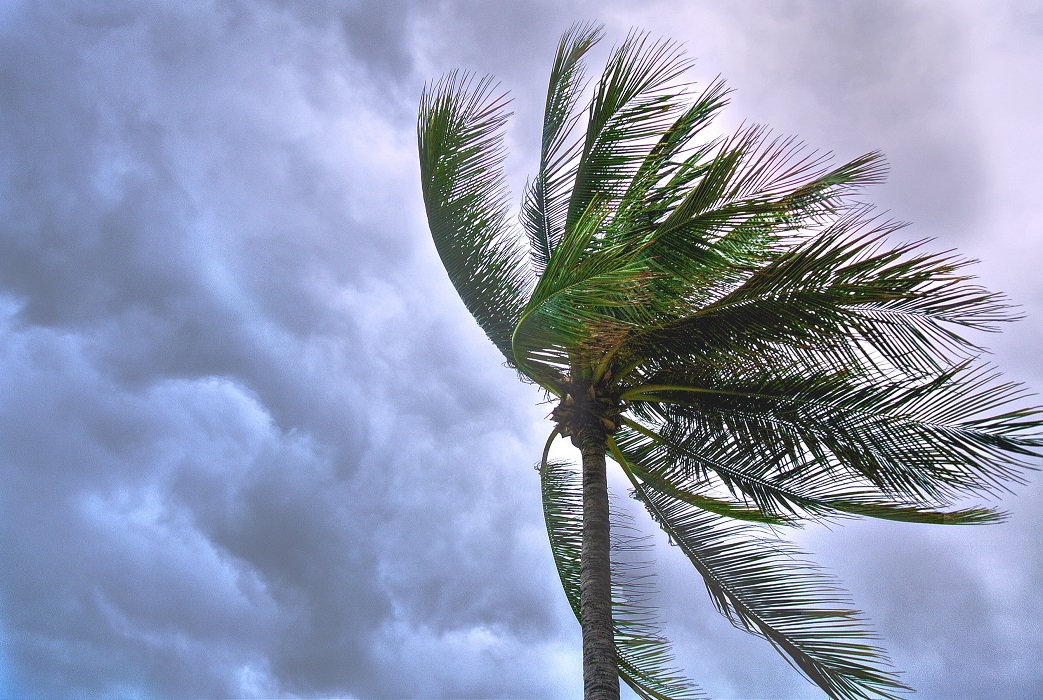 Ubatuba recebe alerta de risco meteorológico entre terça-feira (24) até sexta-feira (27)