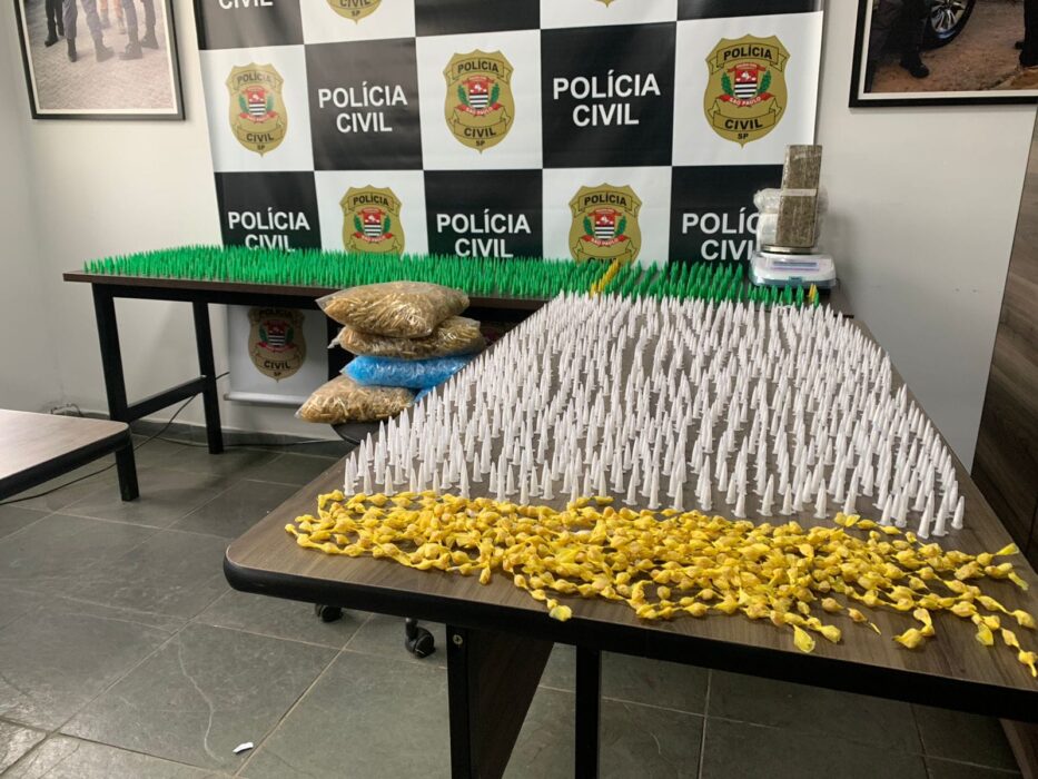 Polícia civil de Campos do Jordão apreende mais de 2.000 pinos de cocaína e 533 pedras de crack