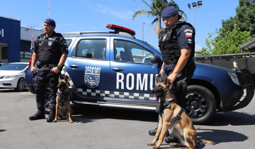 Jacareí: GCM treina cães para implantação de Grupo Operacional com os animais
