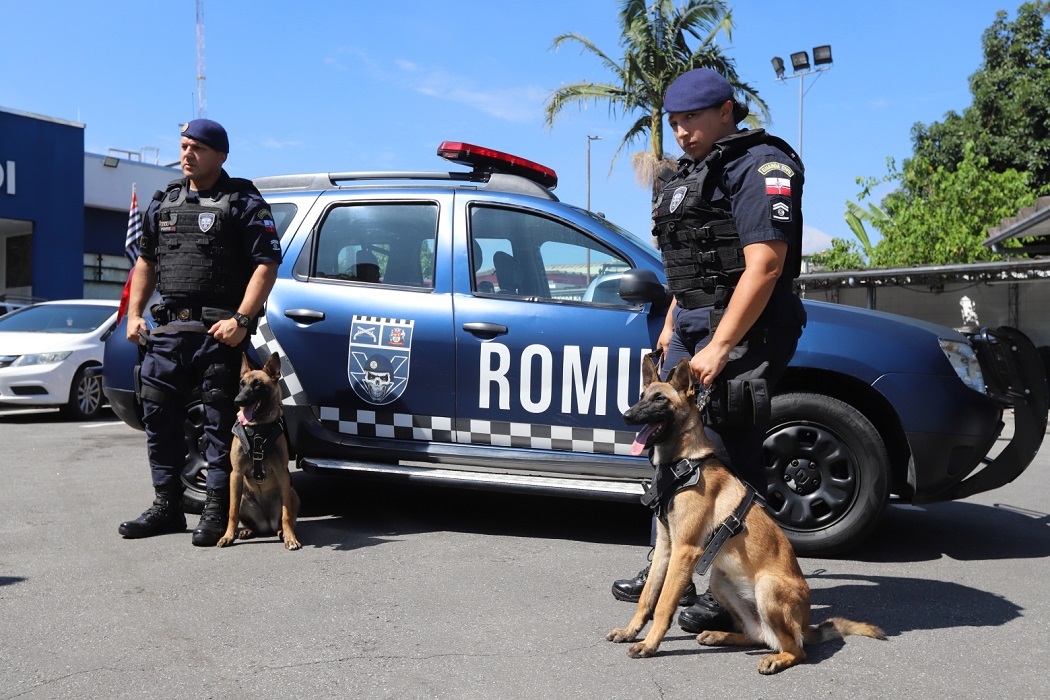 Jacareí: GCM treina cães para implantação de Grupo Operacional com os animais