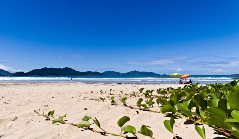 Taxa de Preservação Ambiental de Ubatuba acontecerá em todas as praias da cidade do Litoral Norte