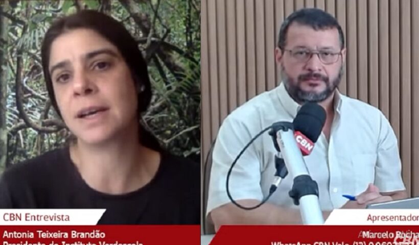 Antonia Brandão e Marcelo Rocha. Presidente do Verdescola pediu a doação de proteínas
