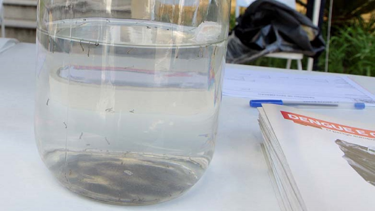 Dengue: Bairros da Zona Leste de São José dos Campos estão em risco de acordo com boletim