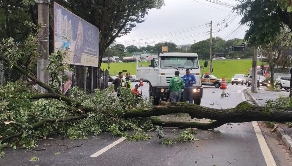 Domingo de chuva em Taubaté; rajadas de vento chegaram a 46 km/h