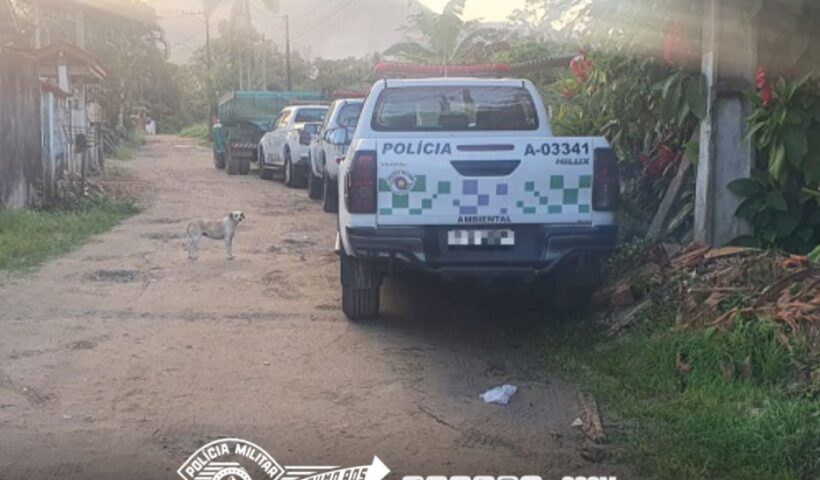 PM Ambiental prende três suspeitos de loteamento irregular, em Ubatuba; armas também foram apreendidas