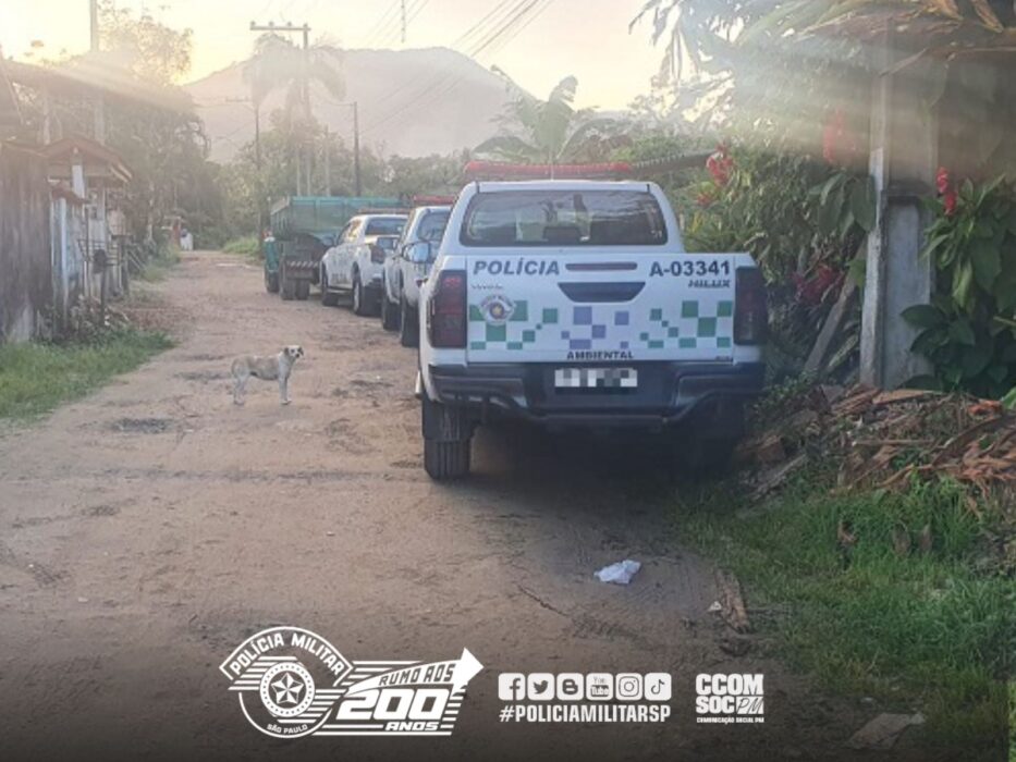 PM Ambiental prende três suspeitos de loteamento irregular, em Ubatuba; armas também foram apreendidas